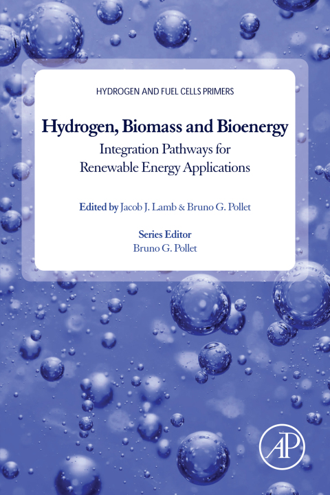Hydrogen, Biomass and Bioenergy 