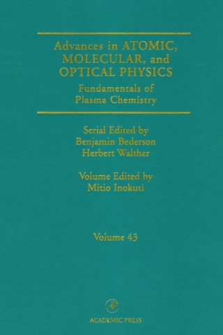 Fundamentals of Plasma Chemistry