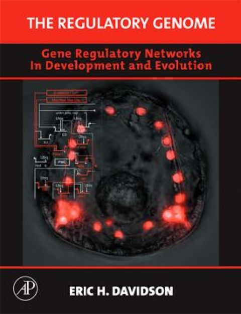 Cover image for book The Regulatory Genome: Gene Regulatory Networks In Development And Evolution