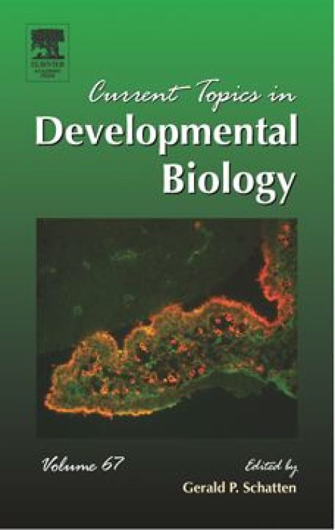 Cover image for book Current Topics in Developmental Biology