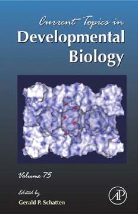 Cover image for book Current Topics in Developmental Biology