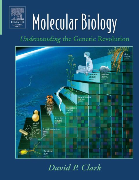 Cover image for book Molecular Biology: Understanding the Genetic Revolution