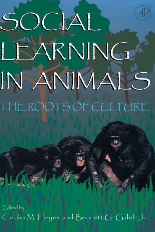 Social Learning In Animals: The Roots of Culture