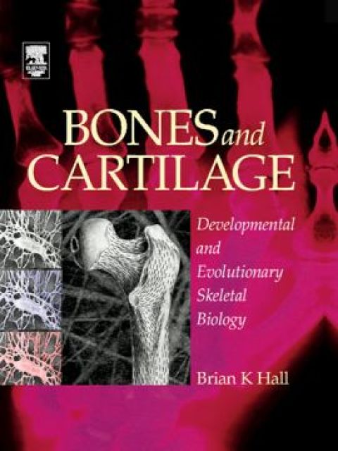 Cover image for book Bones and Cartilage: Developmental and Evolutionary Skeletal Biology