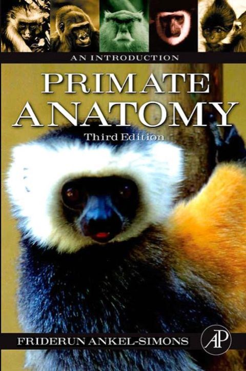 Cover image for book Primate Anatomy: An Introduction
