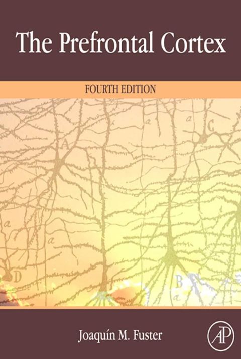 Cover image for book The Prefrontal Cortex