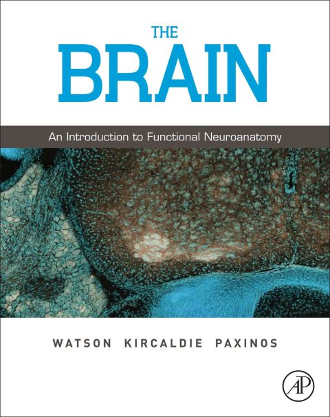 Cover image for book The Brain: An Introduction to Functional Neuroanatomy