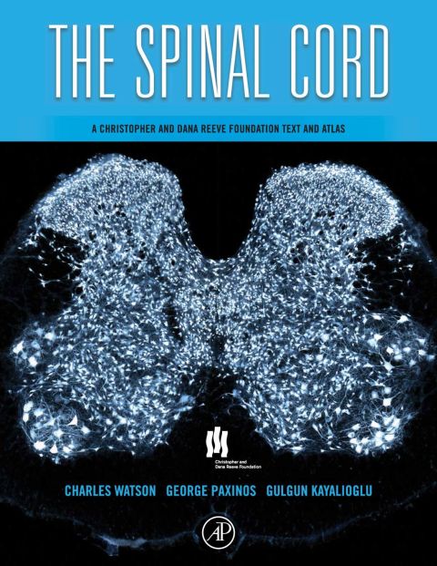 Cover image for book The Spinal Cord: A Christopher and Dana Reeve Foundation Text and Atlas