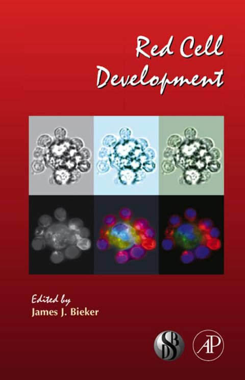 [1825 days] Red Cell Development: Current Topics in Developmental Biology