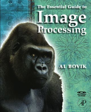 The Essential Guide to Image Processing