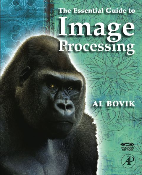 Cover image for book The Essential Guide to Image Processing