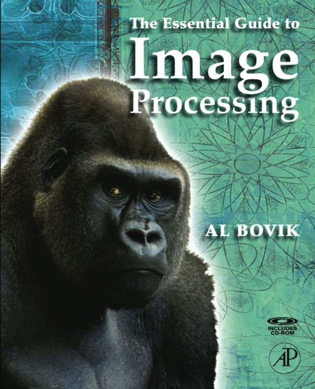The Essential Guide to Image Processing