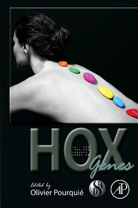Cover image for book HOX Genes