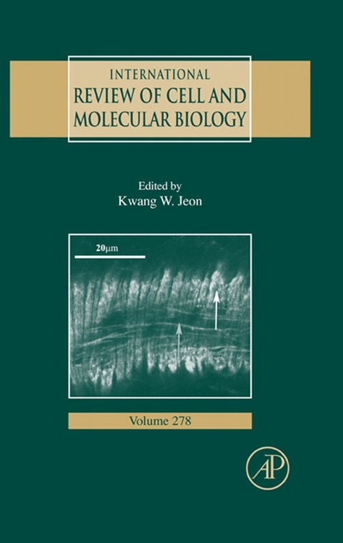 Cover image for book International Review Of Cell and Molecular Biology
