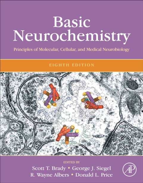 Cover image for book Basic Neurochemistry: Principles of Molecular, Cellular, and Medical Neurobiology