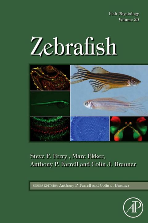 Cover image for book Fish Physiology: Zebrafish: Zebrafish