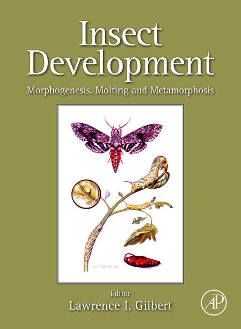Cover image for book Insect Development: Morphogenesis, Molting and Metamorphosis