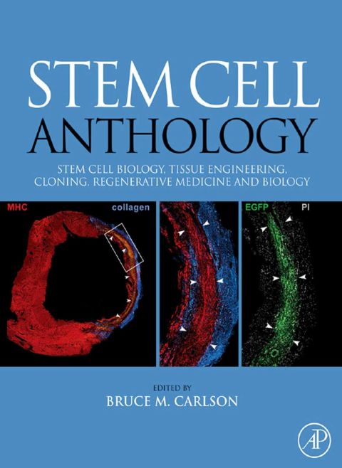 Cover image for book Stem Cell Anthology: From Stem Cell Biology, Tissue Engineering, Cloning, Regenerative Medicine and Biology