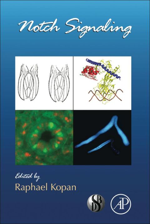 Cover image for book Notch Signalling