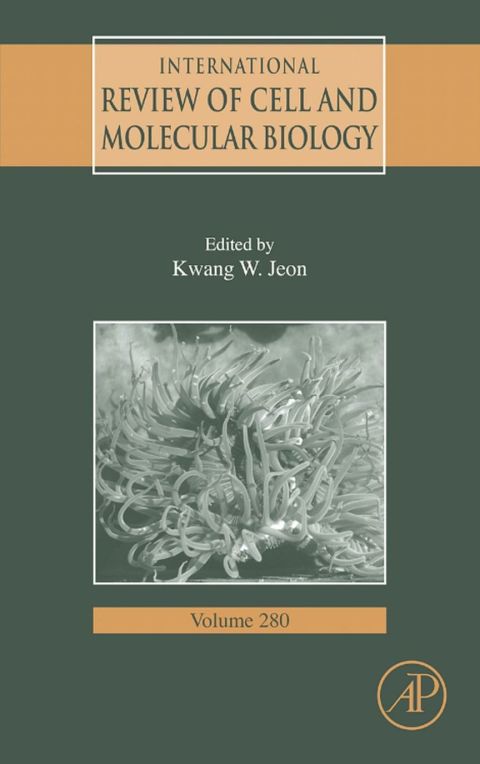 Cover image for book International Review Of Cell and Molecular Biology