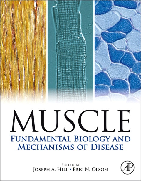 Cover image for book Muscle 2-Volume Set: Fundamental Biology and Mechanisms of Disease