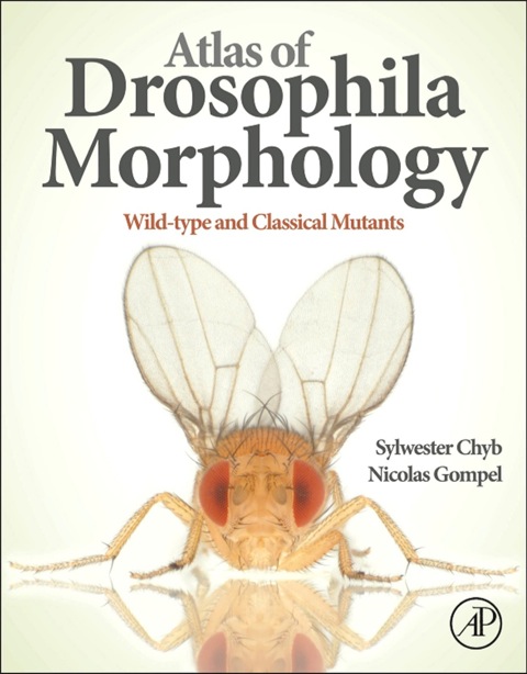 Cover image for book Atlas of Drosophila Morphology: Wild-type and Classical Mutants