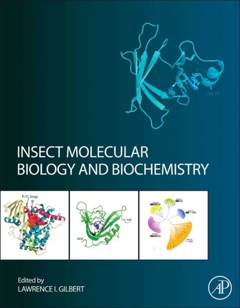 Cover image for book Insect Molecular Biology and Biochemistry