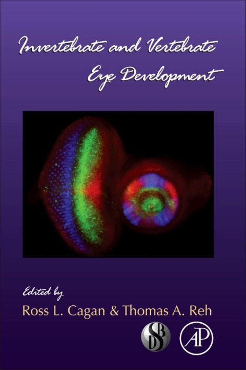 Cover image for book Invertebrate and Vertebrate Eye Development