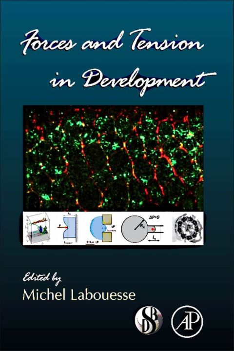 Cover image for book Forces and Tension in Development