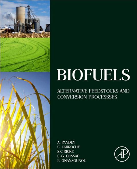 Cover image for book Biofuels: Alternative Feedstocks and Conversion Processes