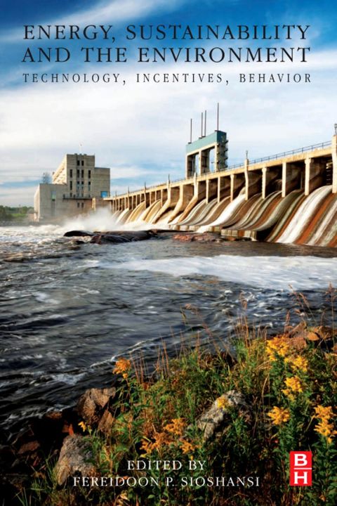 Cover image for book Energy, Sustainability and the Environment: Technology, Incentives, Behavior