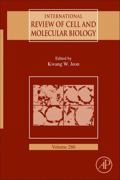 Cover image for book International Review Of Cell and Molecular Biology