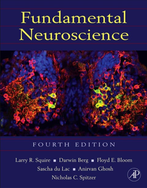 Cover image for book Fundamental Neuroscience