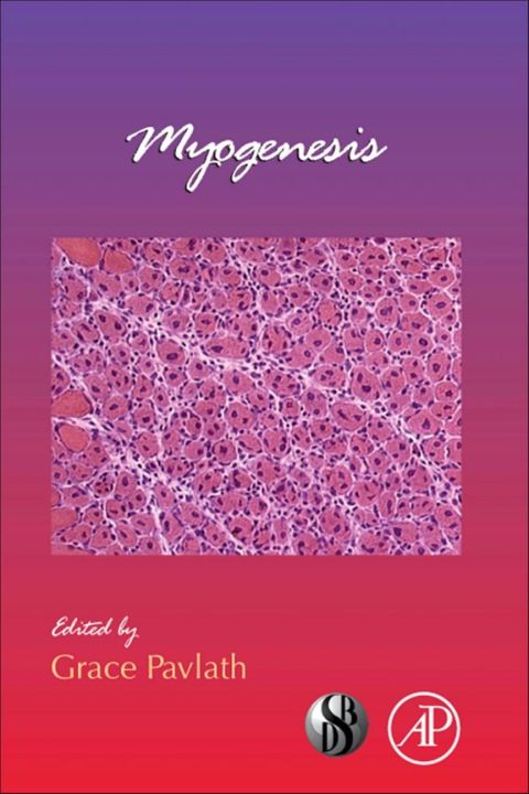 Cover image for book Myogenesis