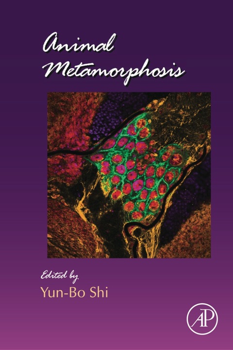 Cover image for book Animal Metamorphosis