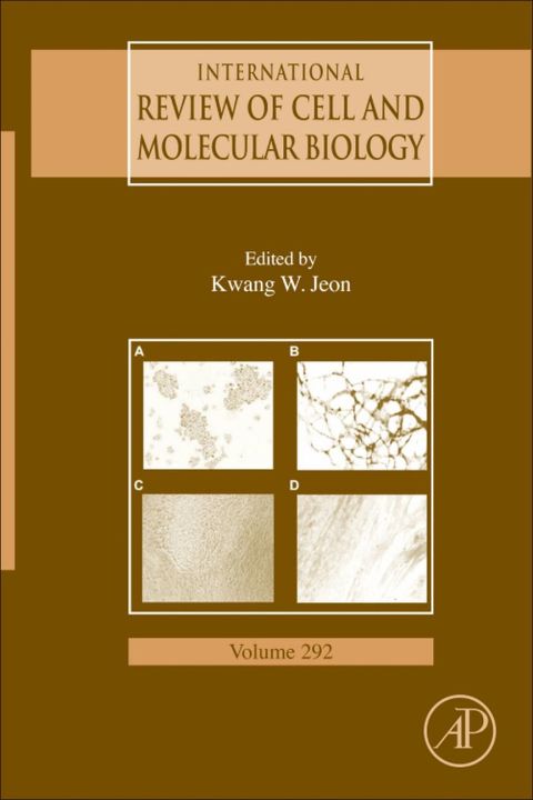 Cover image for book International Review Of Cell and Molecular Biology