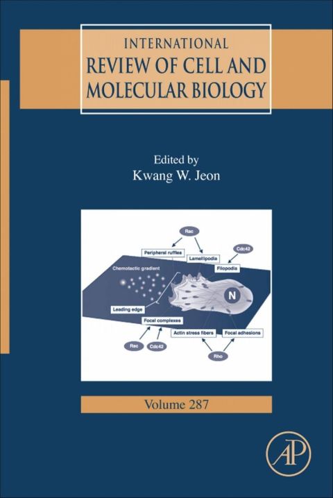 Cover image for book International Review Of Cell and Molecular Biology