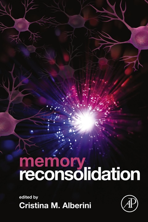 Cover image for book Memory Reconsolidation