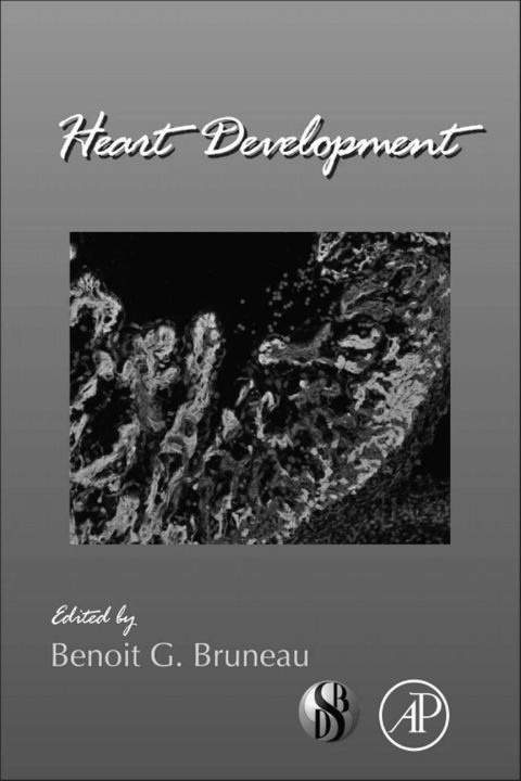Cover image for book Heart Development