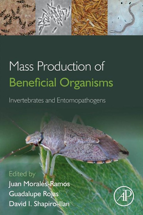 Cover image for book Mass Production of Beneficial Organisms: Invertebrates and Entomopathogens