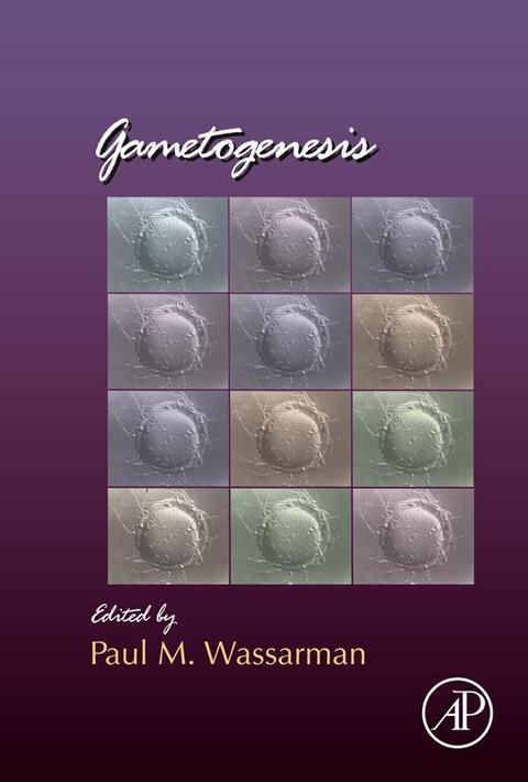 Cover image for book Gametogenesis