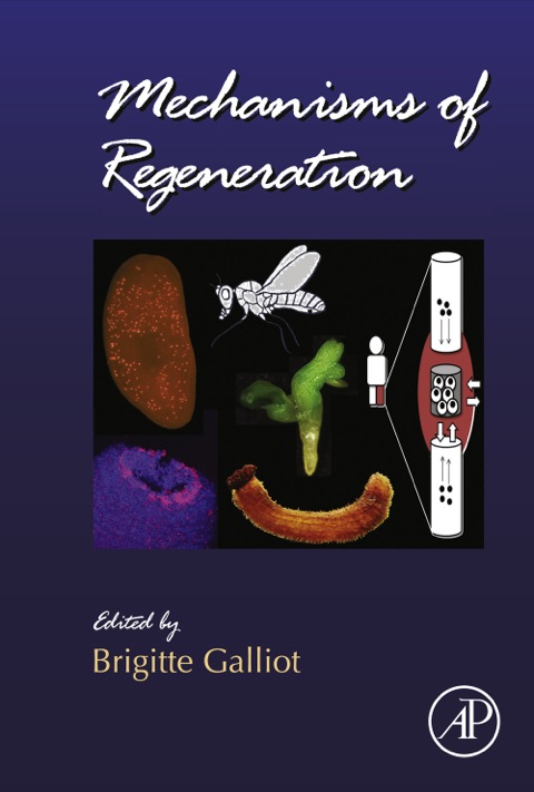 Cover image for book Mechanisms of Regeneration