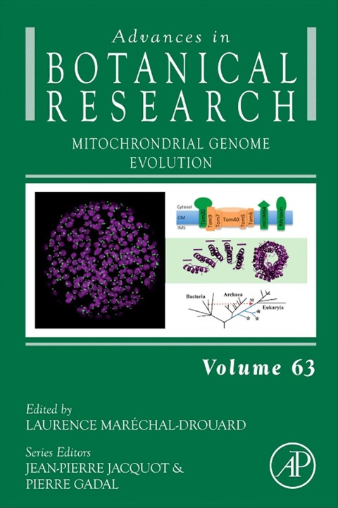 Cover image for book Mitochondrial Genome Evolution