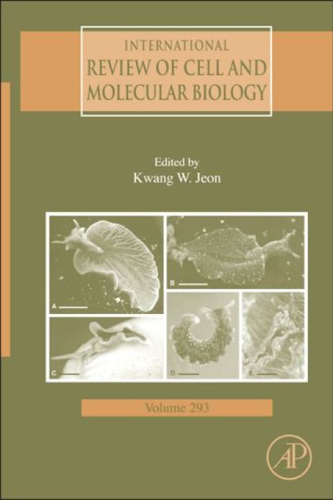 Cover image for book International Review Of Cell and Molecular Biology