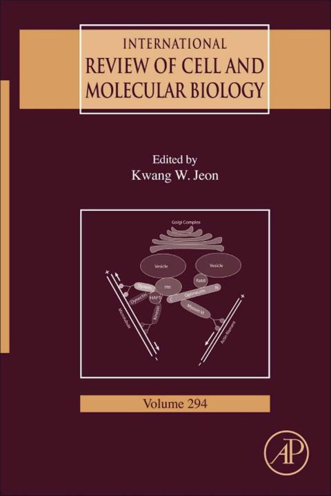 Cover image for book International Review Of Cell and Molecular Biology