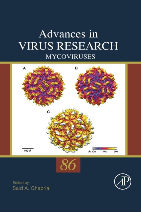 Cover image for book Mycoviruses