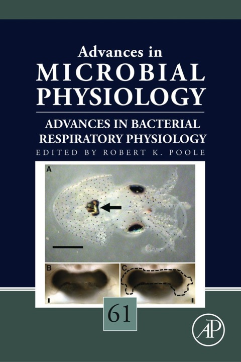 Cover image for book Advances in Bacterial Respiratory Physiology