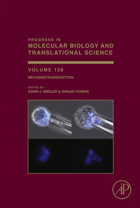 Cover image for book Mechanotransduction