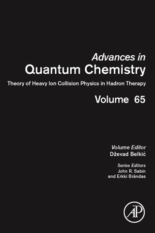 Theory of Heavy Ion Collision Physics in Hadron Therapy