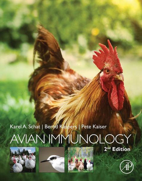 Cover image for book Avian Immunology